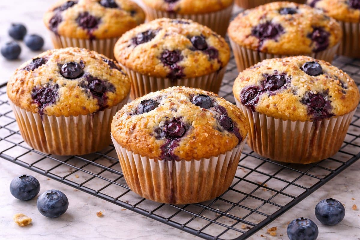 Blueberry Muffins